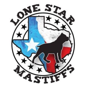 LSM JPG Logo