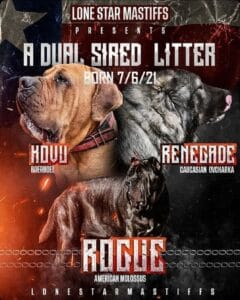 Puppy Announcement