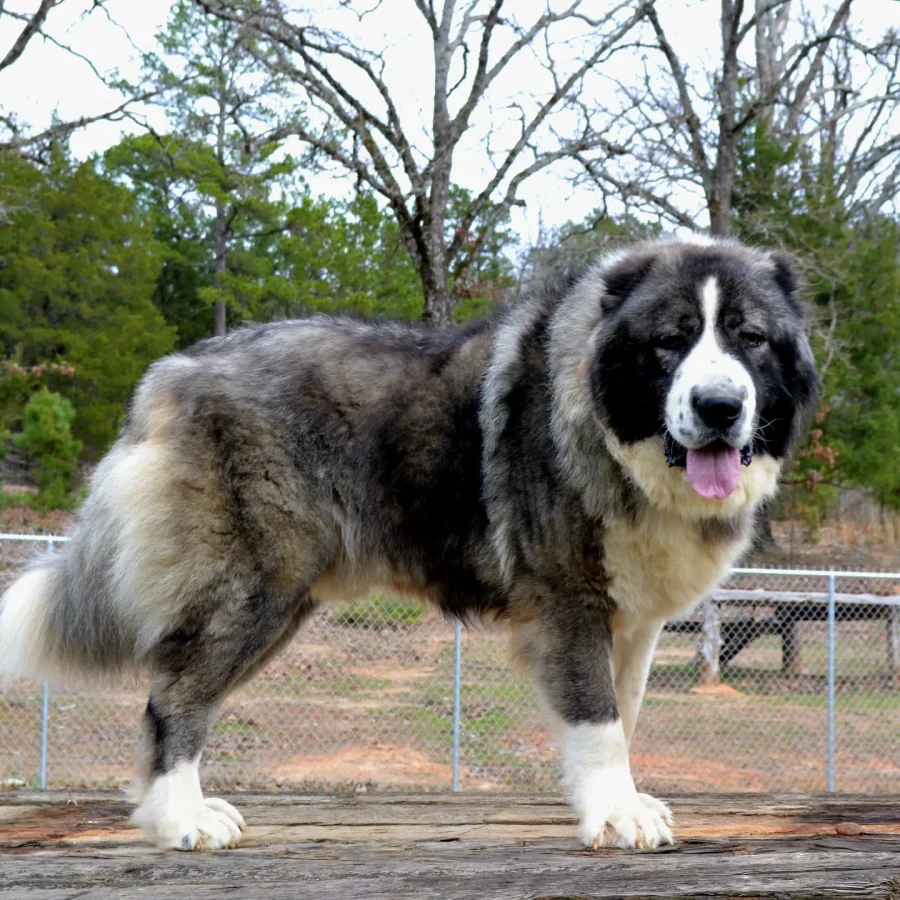 IMG_20230219_091605_689