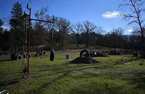 Lone Star Mastiffs photo 4